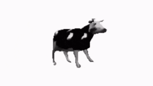 dancing cow gif